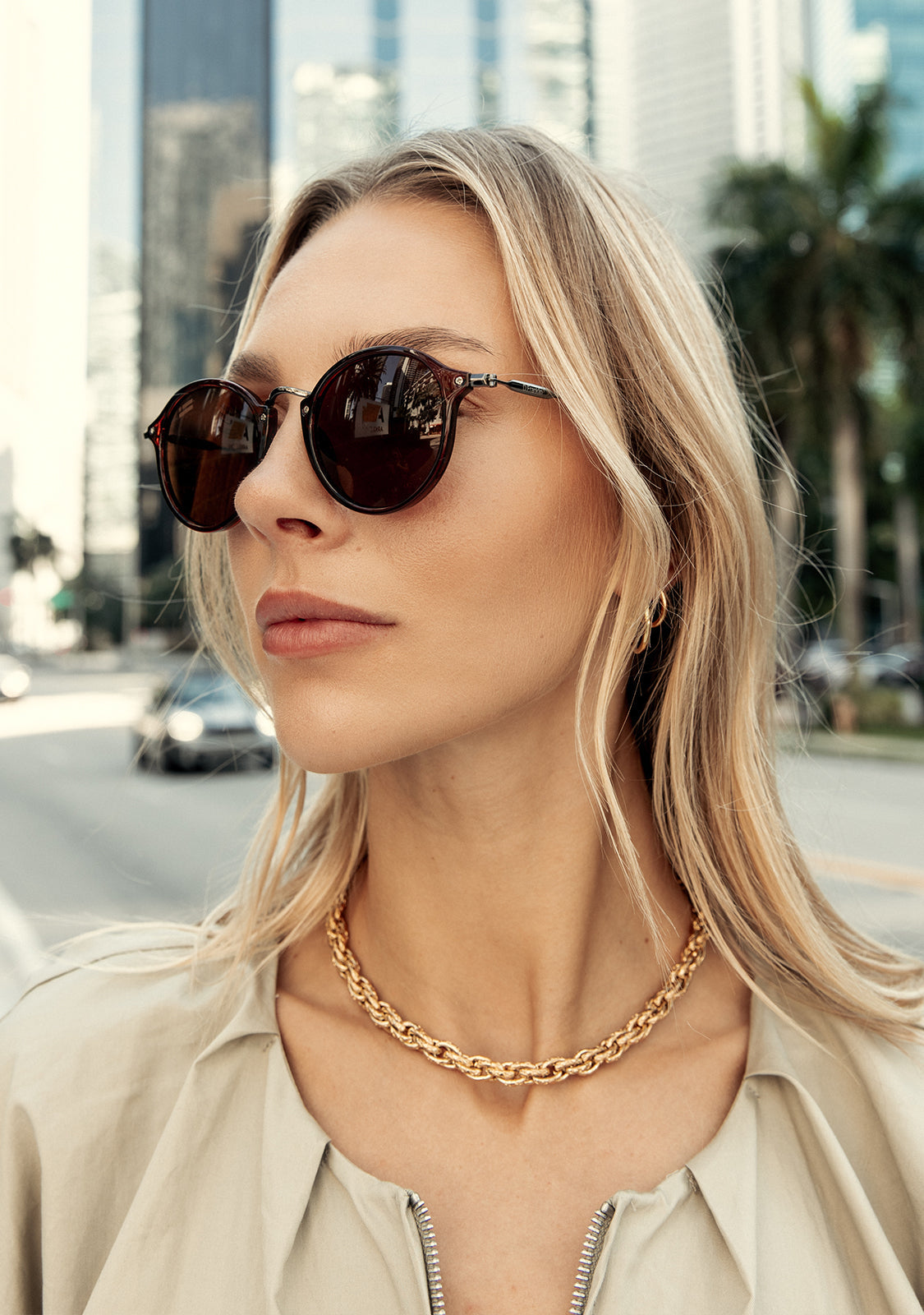 Rounded Sunglasses in Brown Trans/Brown | D.Franklin®