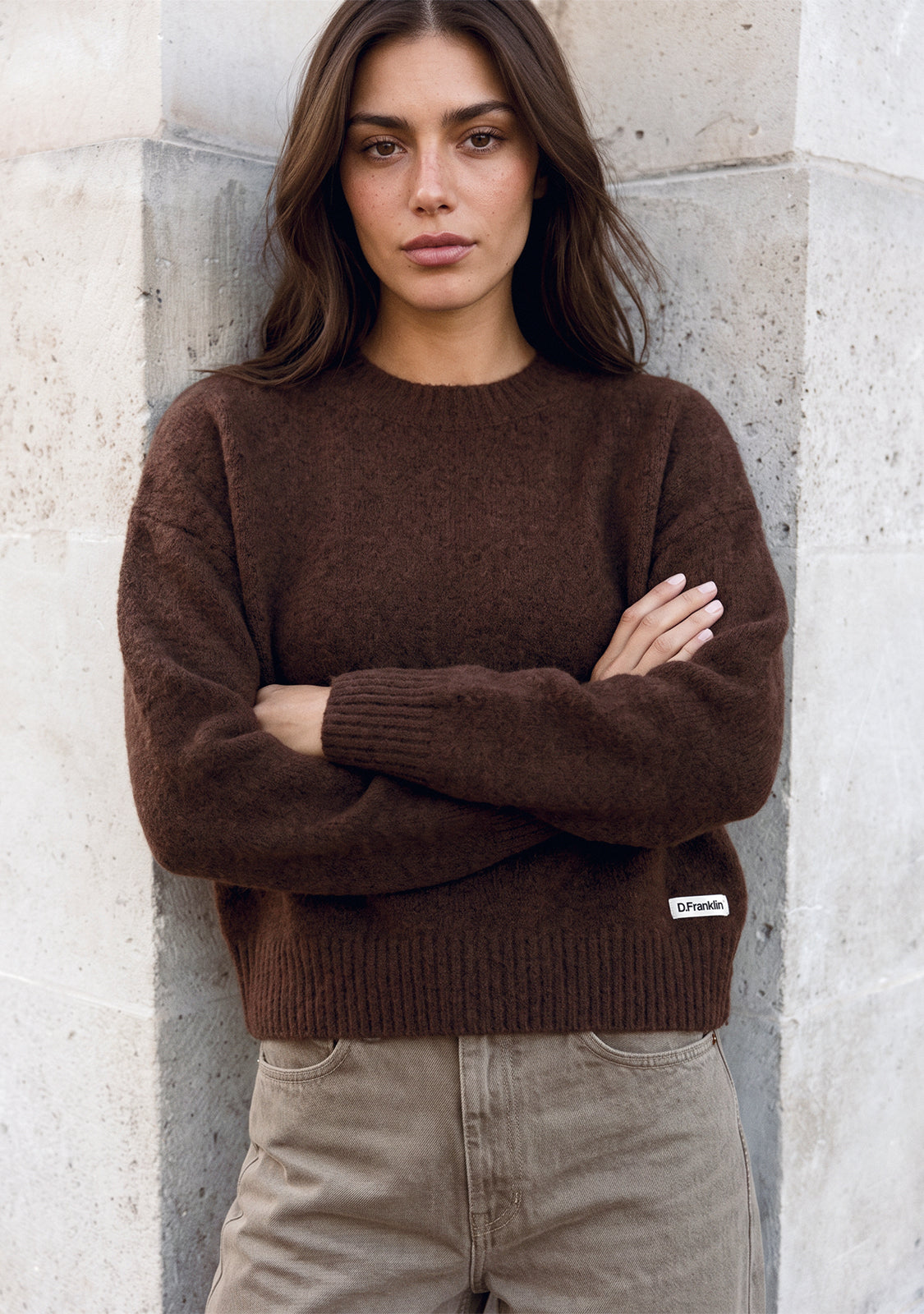 Brown Relaxed Crew Neck Knit Pullover