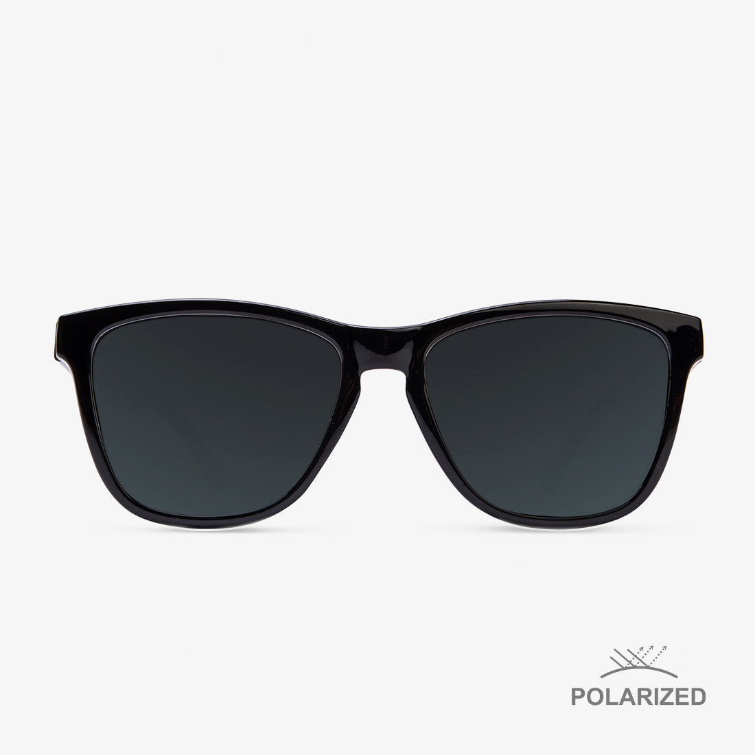 Roosevelt Shiny Black / Black Polarized