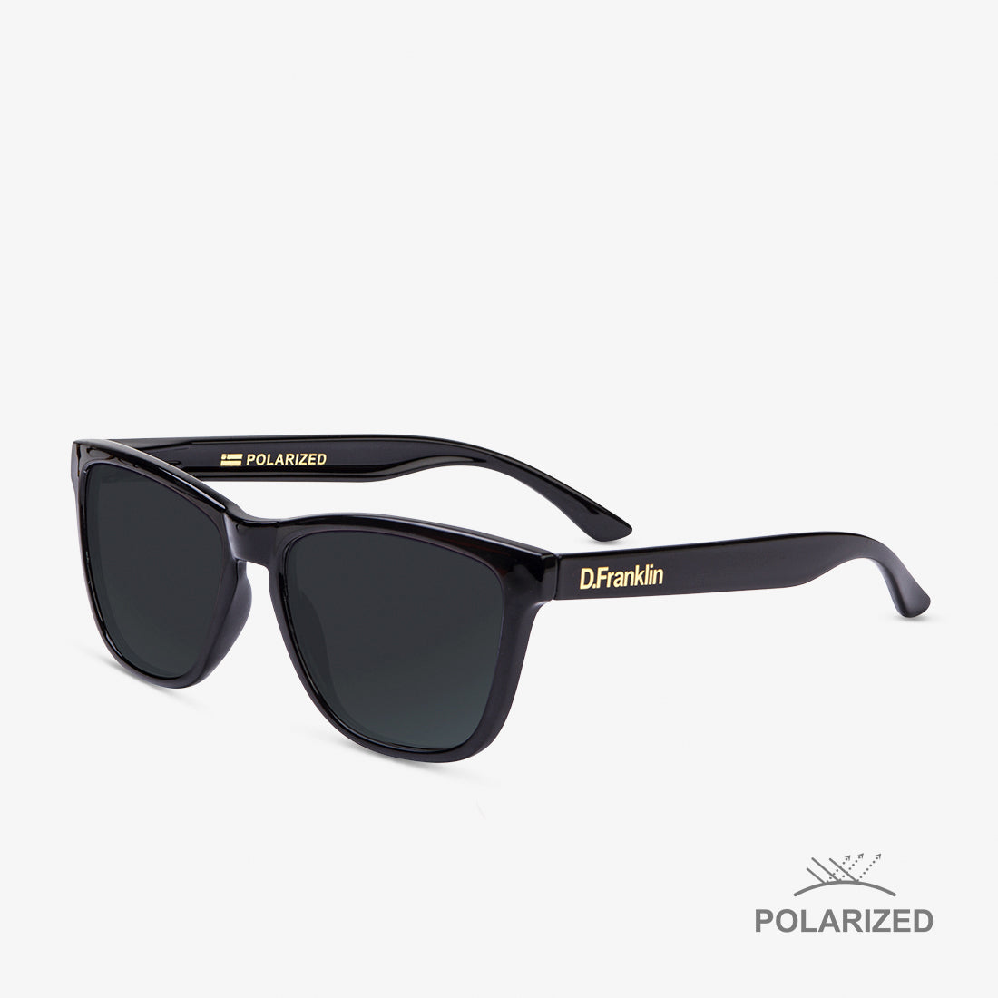 Roosevelt Shiny Black / Black Polarized