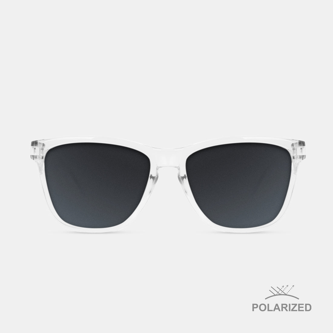 Roosevelt Trans / Black Polarized